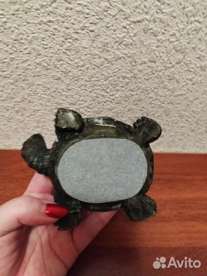 Черепаха с маленьким черепашонком