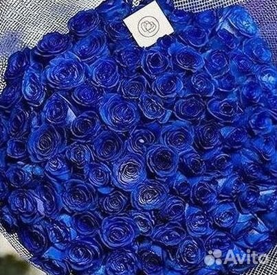 Синие розы Доставка цветов