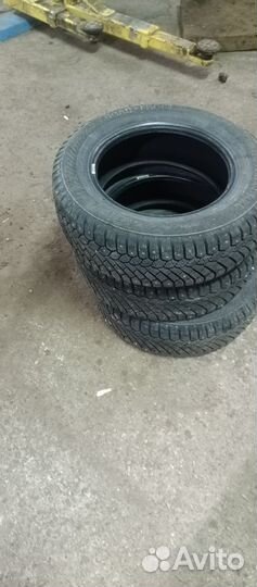 Gislaved Nord Frost 200 175/70 R14