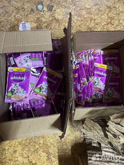 Вискас для котят