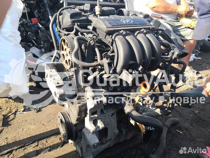 Двигатель Volkswagen Golf Plus 1.6 л