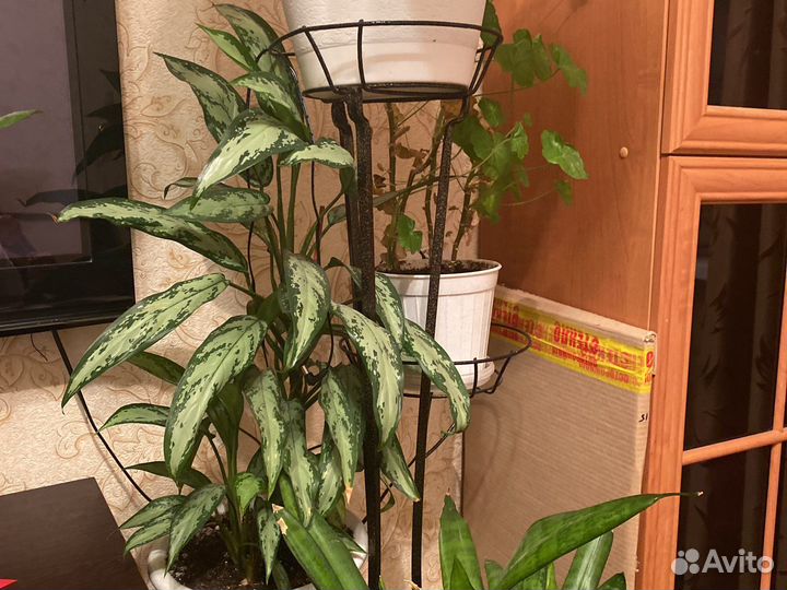 Пе.р.е. д.е.р. ж.ка