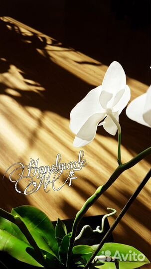 Молд вайнер Орхидеи фаленопсис