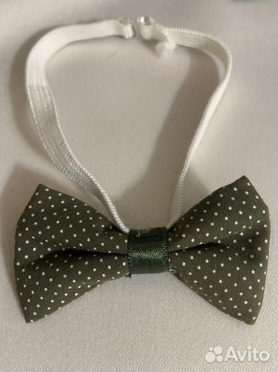 Рубашка с бабочкой