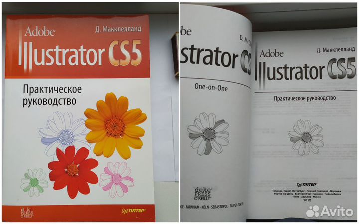 Photoshop CS4, Illustrator CS5/4 + веб-дизайн)