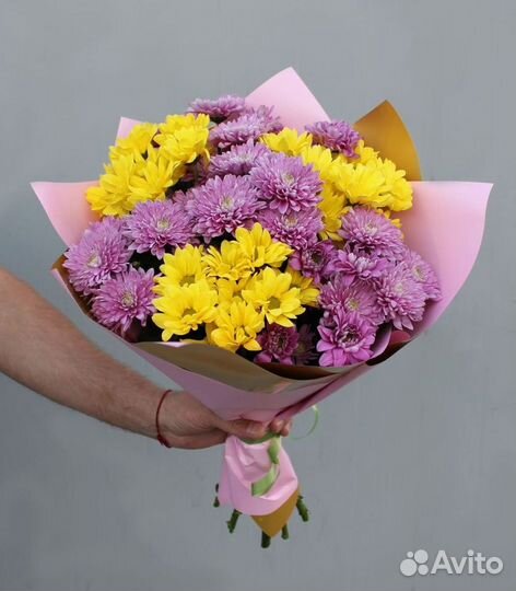 Цветы хризантемы