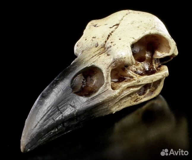 Вакансия клинер