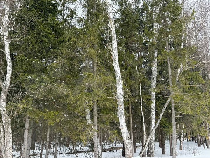 Участок 9 сот. (СНТ, ДНП)