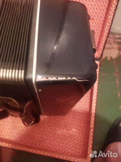 Баян рубин 5