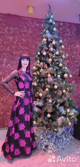 Ведущая, певица, диджей, музыкальная аппаратура