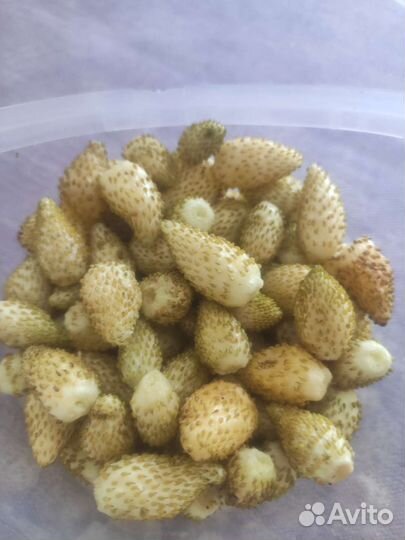 Ягоды земляники