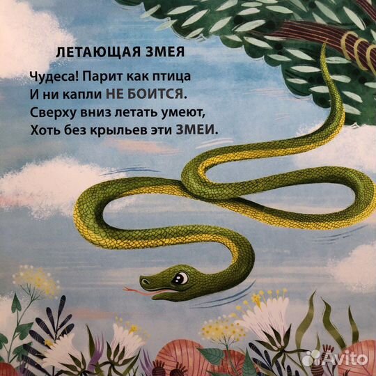 Книги для малышей 0+