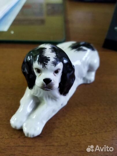 Спаниель лфз