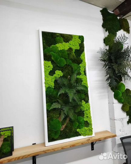 Мох стабилизированный фитокартина фитостена панно