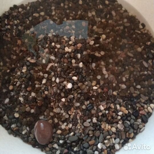 Аквариум 110 литров, грунт, компрессор, фильтр