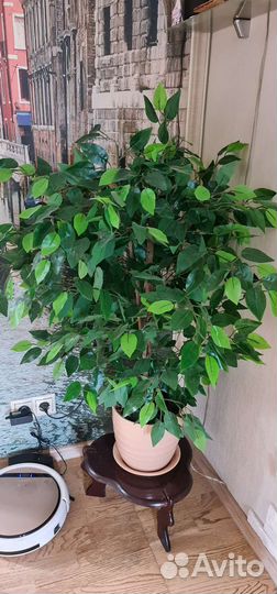 Растения искусственные цветы