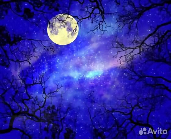 Петухи и Куры черные Доставлю