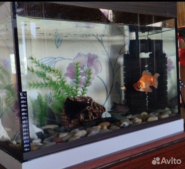 Аквариум на 65 литров