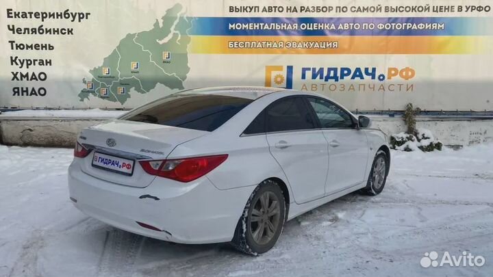 Уплотнитель стекла двери задней левой Hyundai Sonata (YF) 83231-3S000