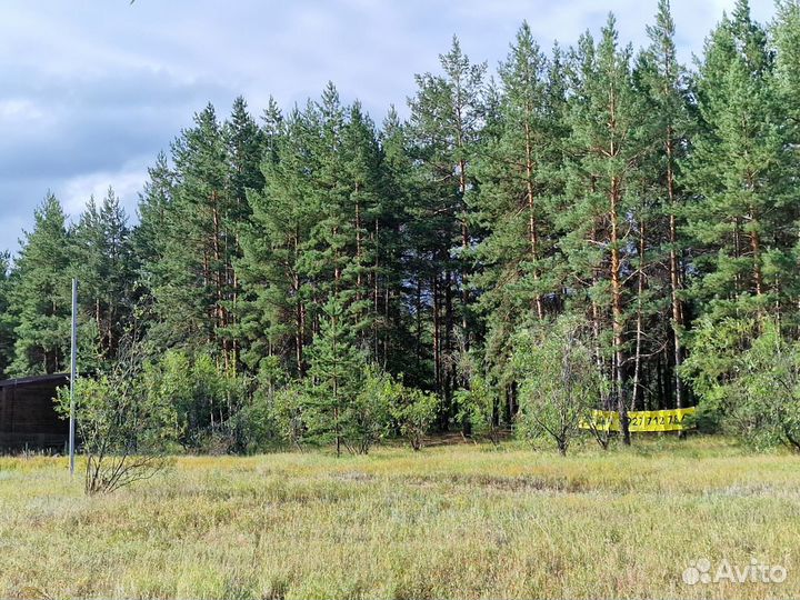 Успешное пространство на берегу Волги