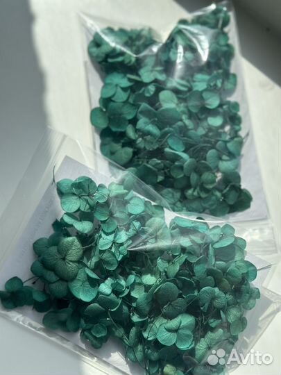 Сухоцветы для творчества/декора свечей/мыла