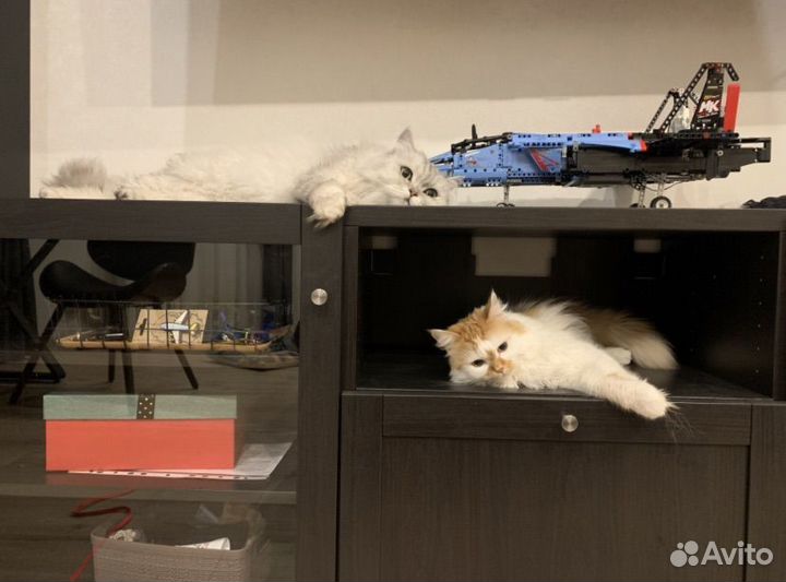 Бримнэс Тумба под тв IKEA