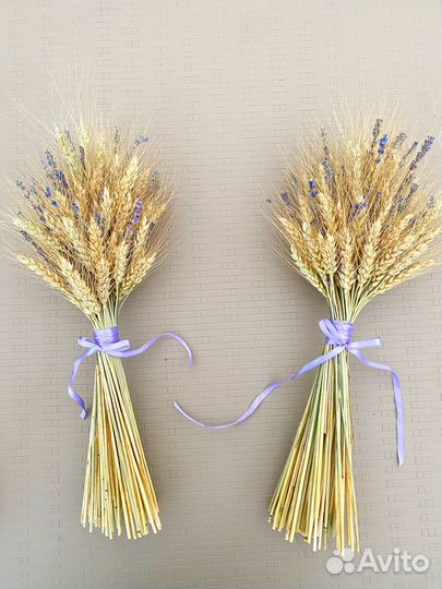 Интерьерные сухоцветы пшеницы