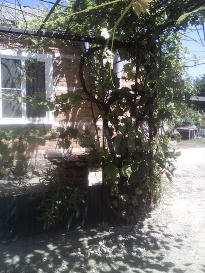 Дом 84,6 м² на участке 16 сот.