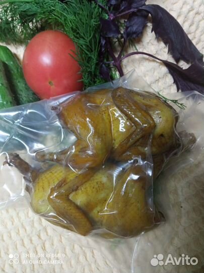 Перепела суточные