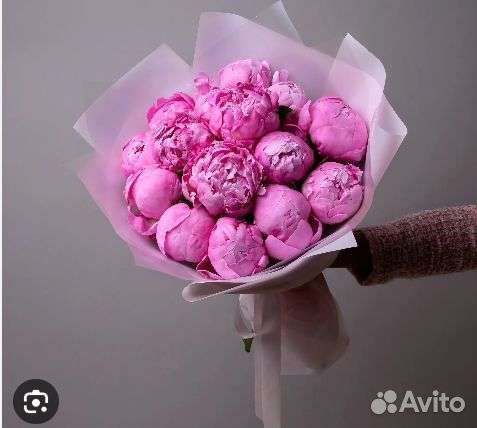 Пионы, Букеты, розница