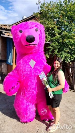 Ростовые куклы, экспресс поздравления