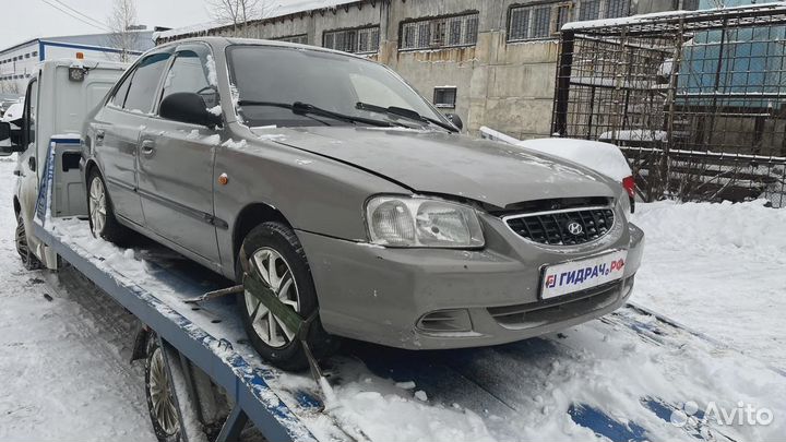Блок управления двигателем Hyundai Accent 2 391102