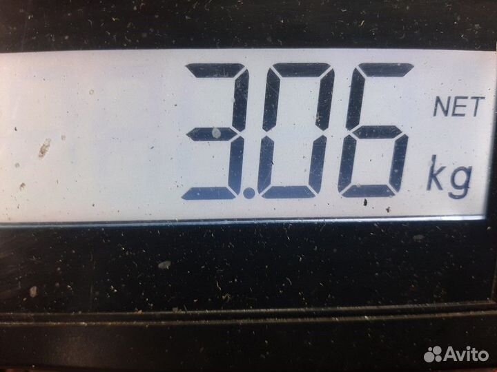 Амортизатор передний левый Audi A4 B6 2005