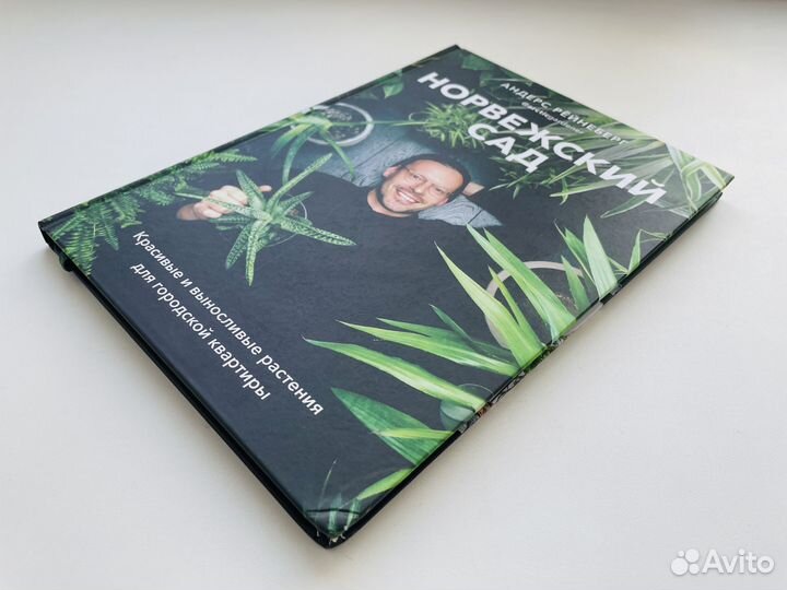 Норвежский сад Андерс Рёйнеберг