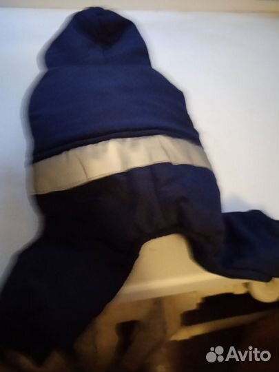 Одежда для собак мелких пород зима