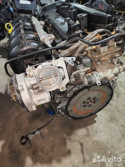 Двигатель Ford Focus qqdb