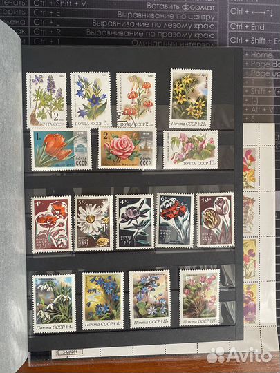 Альбом с почтовыми марками
