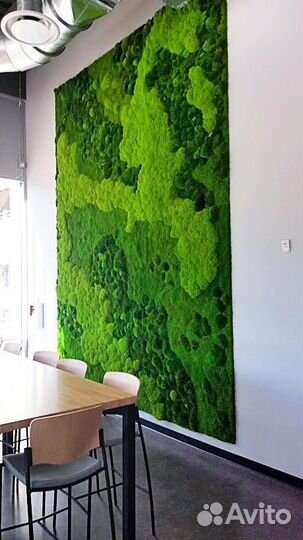 Картина, панно,стена из стабилизированного мха