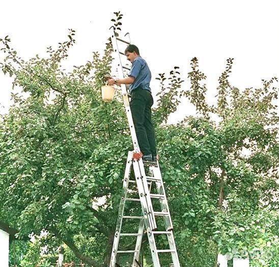 Аренда Лестницы. Аренда стремянки