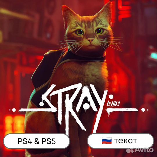 Stray
