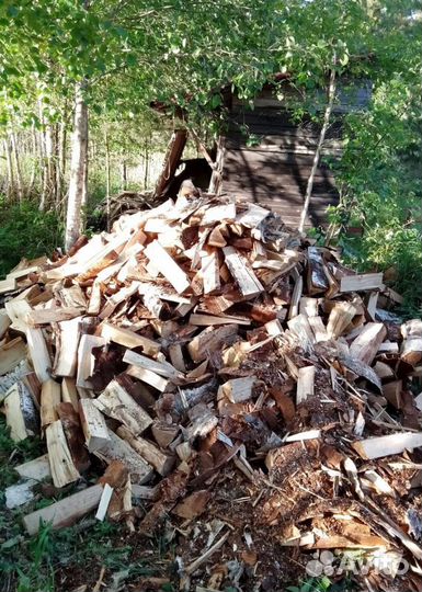Дрова Береза привезем в Сертолово