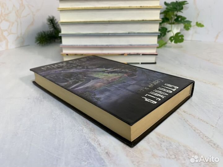 В рай без очереди - Сергей Клочков. Сталкер