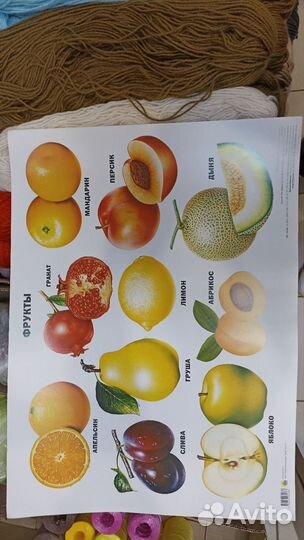 Обучающий плакат