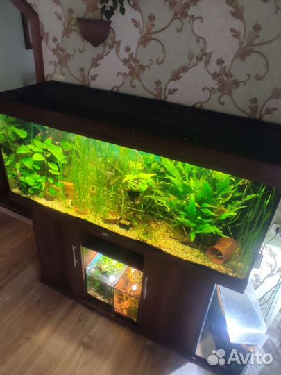 Аквариум