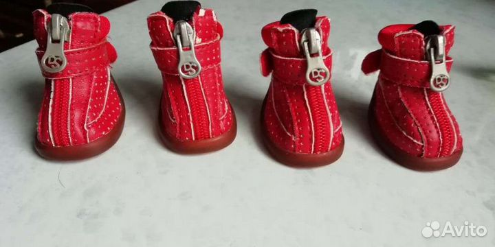 Обувь для собачек, обувь для Йорков