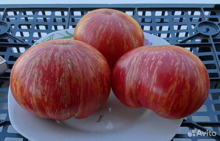 Полосатые сорта томатов (семена)