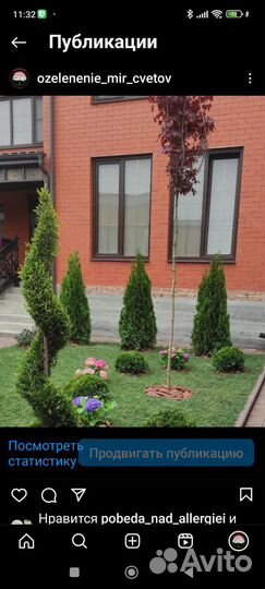 Ландшафтные работы, озеленение