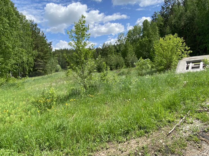 Участок 20 сот. (ИЖС)