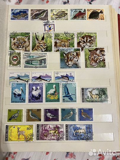 Почтовые марки СССР