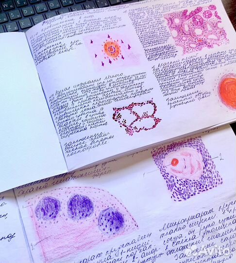 Нарисую альбом по гистологии/пат.анатомии